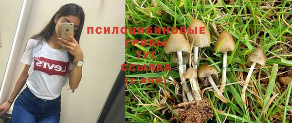 каннабис Нефтекумск
